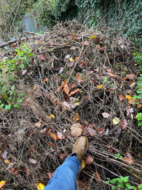 A huge pile: small old branches; twigs; fallen leaves; moss; and green nettles which punctuate at the perimeter. I lean against it, leg outstretched. My boot appears tiny.