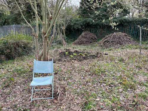 A fold out seat, set out beneath a tree. In the backdrop, visible below the tree's small canopy, a new fox glove patch.