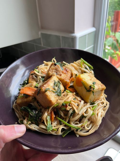 A hearty portion of tofu, noddles, and greens steam in a pasta bowl.