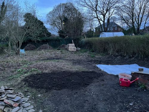 Dusk on the plot, a small patch of earth appears to be cleared of weeds.