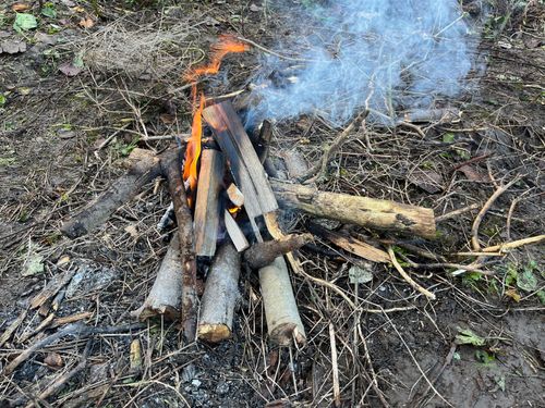 A small fire consisting of a few logs.