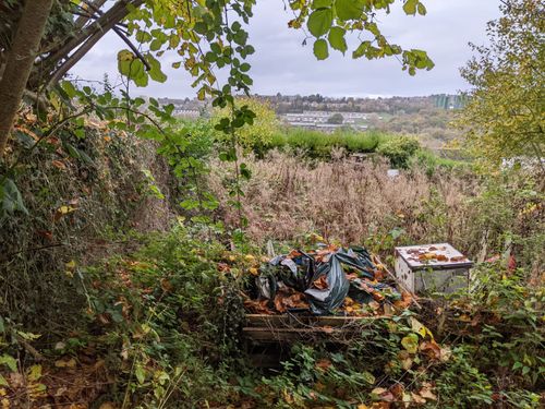 A beautiful green view of the allotment and out beyond Sheffield, skyscrapers punctuate an area of trees. In the foreground weeds grow tall. Thorned brambles rule. A large pile of bagged rubbish and a bumped fridge freezer sit within the undergrowth.