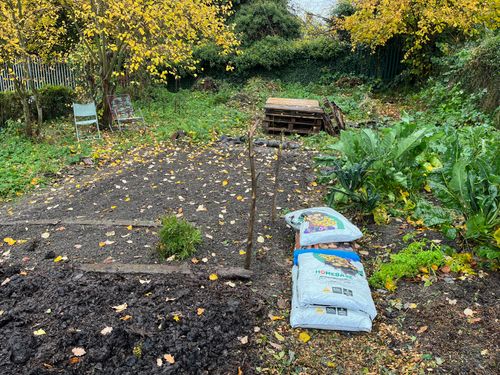 A freshly dug vegetable bed with compost bags laid on an adjacent woodchip path. Wooden pallets are stacked neatly at the end.