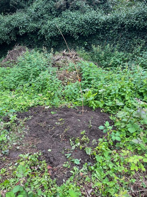 A muddy patch with slender stick, a recently dug, round grave, surrounded by weeds.