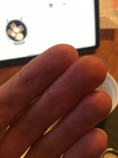 Tiny tiny screw, so tiny on top of a fingertip. A couple of millimetres long?