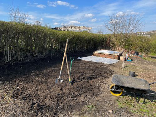 A spade, fork, and mattock stood upright, driven into a sunny, freshly dug bed for planting.
