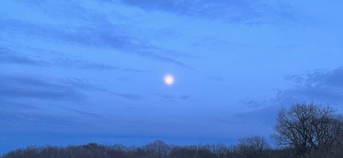 A dark blue dusk, where the moon shines bright above treetop.