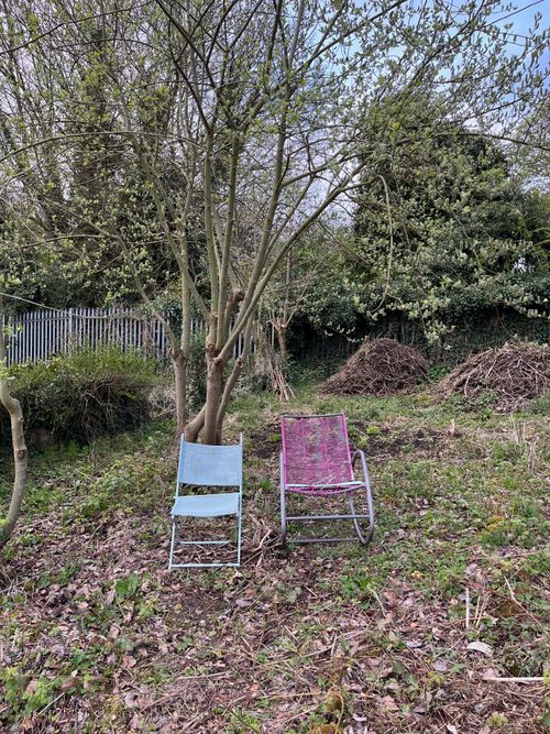 Two old, found chairs sit empty beneath a tree. They're inviting.