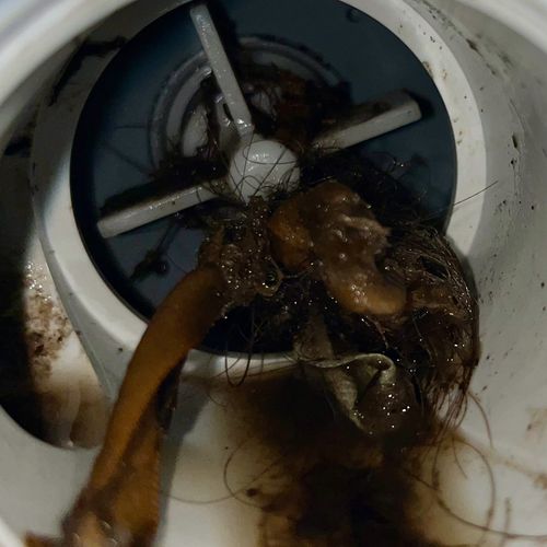 A small propeller within the washing machine, wrapped up tight with foul gunk.