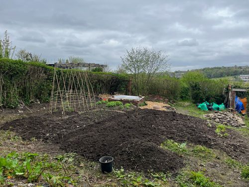 A view from the back of the plot. Lots of progress has been made clearing ground of weeds.